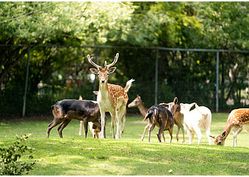 Saskatoon Places To See Saskatoon Forestry Farm Park & Zoo