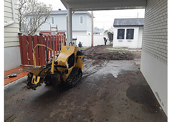 Repentigny tree service Satisfaction Pro-Vert