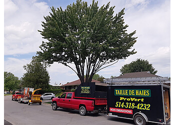 Repentigny tree service Satisfaction Pro-Vert