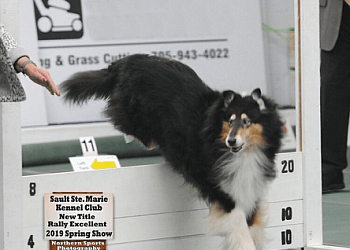 Sault Ste Marie dog trainer Sault Ste. Marie Kennel Club