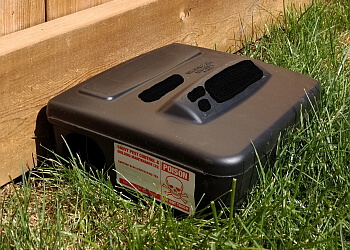 Sherwood Park Services d'extermination de parasites Savvy Pest Control, Ltd.