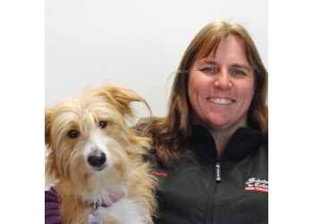 Scholars In Collars Dog Training