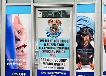 Scooby Groom Toronto Scooby Groom Toronto - Toronto, ON Pet Grooming - Business Exterior Image