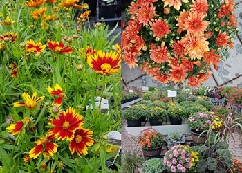 Orillia florist Scott's Garden Centre