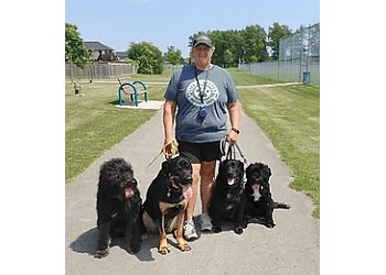 Niagara Falls dog trainer 4 Paws K9 Resort
