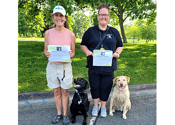 Niagara Falls dog trainer 4 Paws K9 Resort