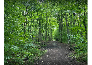 Orillia hiking trail Scout Valley Trail