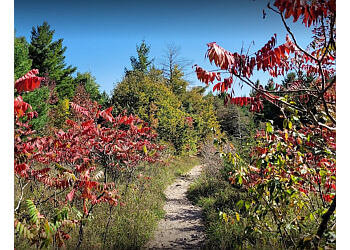 Orillia hiking trail Scout Valley Trail