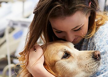 Saanich pet grooming Seaside Canine image 1