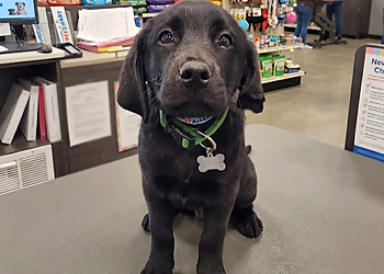 Seaside Canine Grooming - Saanich, BC Pet Grooming - Service Image