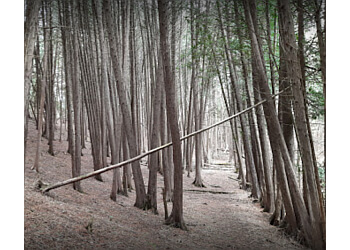 Pickering hiking trail Seaton Hiking Trail