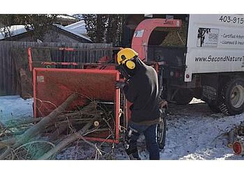 Lethbridge Services d'arboriculteur Second Nature Tree Care