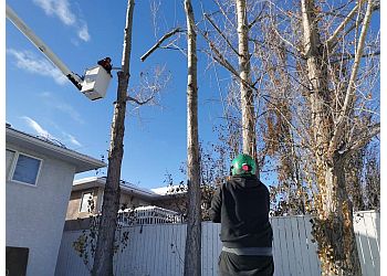 Second Nature Tree Care
