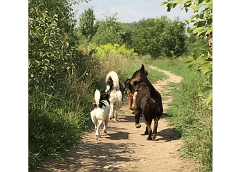 Oshawa dog walker See Blue Run