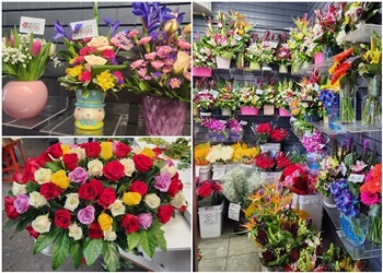 Saskatoon Fleuristes Select Roses