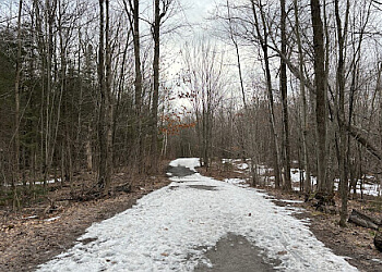 Saint Jerome Sentiers De Randonnée Parc naturel du Lac-Jérôme