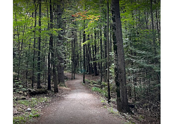 Saint Jerome Sentiers De Randonnée Parc naturel du Lac-Jérôme