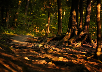 Trois Rivieres Sentiers De Randonnée Sentier de La Gabelle
