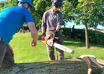 Sequoia TreeScape Newmarket - Newmarket, ON Tree Services - Field Work Image
