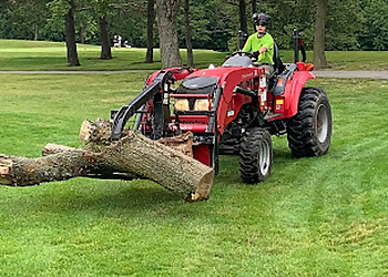 Newmarket Services d'arboriculteur Sequoia TreeScape Newmarket