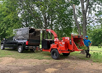 Sequoia TreeScape Newmarket Sequoia TreeScape Newmarket - Newmarket, ON Tree Services - Truck Image