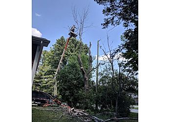 Sherbrooke tree service Service D'arbres Du Quartier