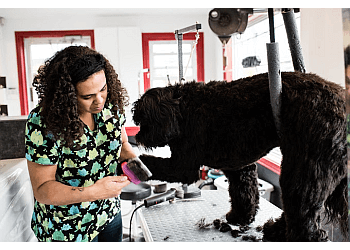 Saint Jean sur Richelieu Salons de Toilettage Pour Animaux De Compagnie Toilettage chez Waka