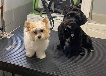 Shawinigan pet grooming Service de Toilettage Annie Dufour