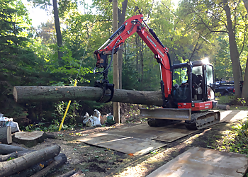 Services D'Arbres Tessier - Trois Rivieres, QC Services d'arboriculteur - Service Image