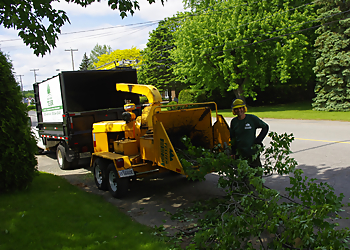 Services D'Arbres Tessier Services D'Arbres Tessier - Trois Rivieres, QC Services d'arboriculteur - Truck Image