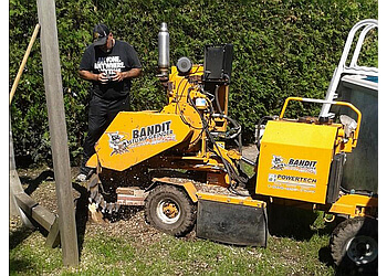 Services d'Arbres Marco - Laval, QC Services d'arboriculteur - Field Work Image