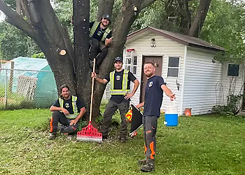 Services d'Arbres Marco - Laval, QC Services d'arboriculteur - Service Team Image