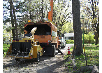 Blainville tree service Services d’arbres Nature