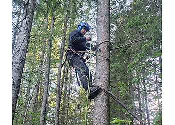 Trois Rivieres tree service Services d'arbres Tessier