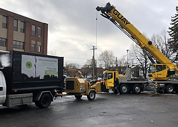 Drummondville tree service Services d'arbres de la Sablonnière inc