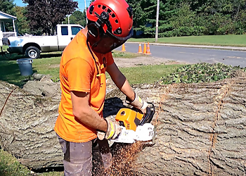 Drummondville tree service Services d'arbres de la Sablonnière inc