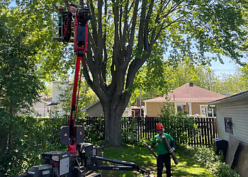 Drummondville Services d'arboriculteur Services d'arbres de la Sablonnière inc