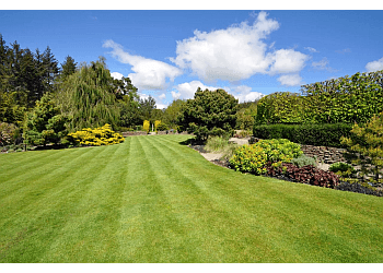Nanaimo lawn care service ShackMaster Homes