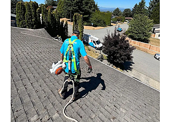 Nanaimo window cleaner Shack Shine Nanaimo