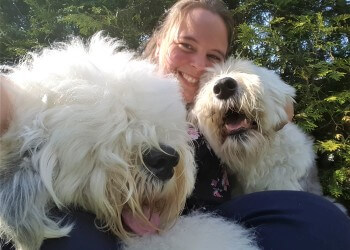 Kingston dog trainer Shaggy Dog Pet Services