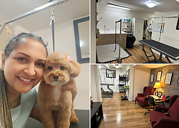 Newmarket pet grooming Shani's Puppy Spa
