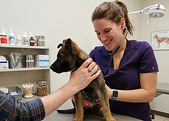Shellard Lane Animal Hospital - Brantford, ON Veterinary Clinics - Doctor With Patient Image
