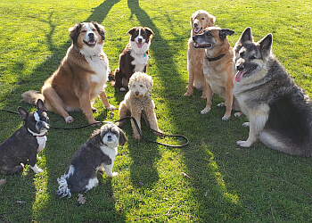 Richmond dog trainer  Shelley Smith Dog Training Services