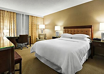Sheraton Cavalier Saskatoon Hotel - Saskatoon, SK Hôtels - Hotel Room Image