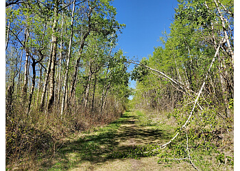Sherwood Park Sentiers De Randonnée Sherwood Park Natural Area
