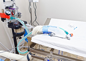 Sherwood Veterinary Clinic - Sherwood Park, AB Veterinary Clinics - Medical Procedure Image