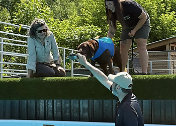 Shield K9 Ottawa - Ottawa, ON Dog Trainers - Dog Training Session Image
