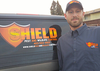Lethbridge pest control Shield Pest and Wildlife Control
