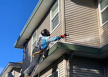 Surrey window cleaner Shine City