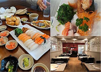 Sault Ste Marie sushi Shogun Sushi